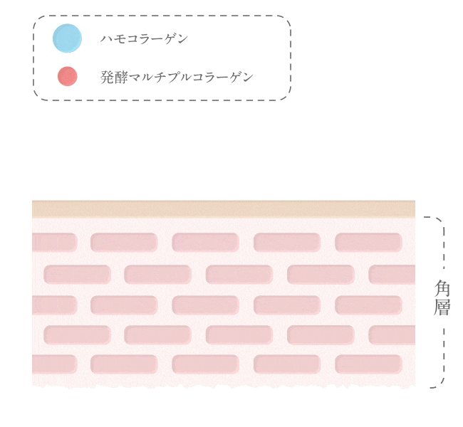 ActiveCoreReboot_876_689_v5.gif のコピー.gif